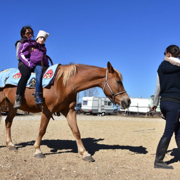 Therapeutisches Reiten