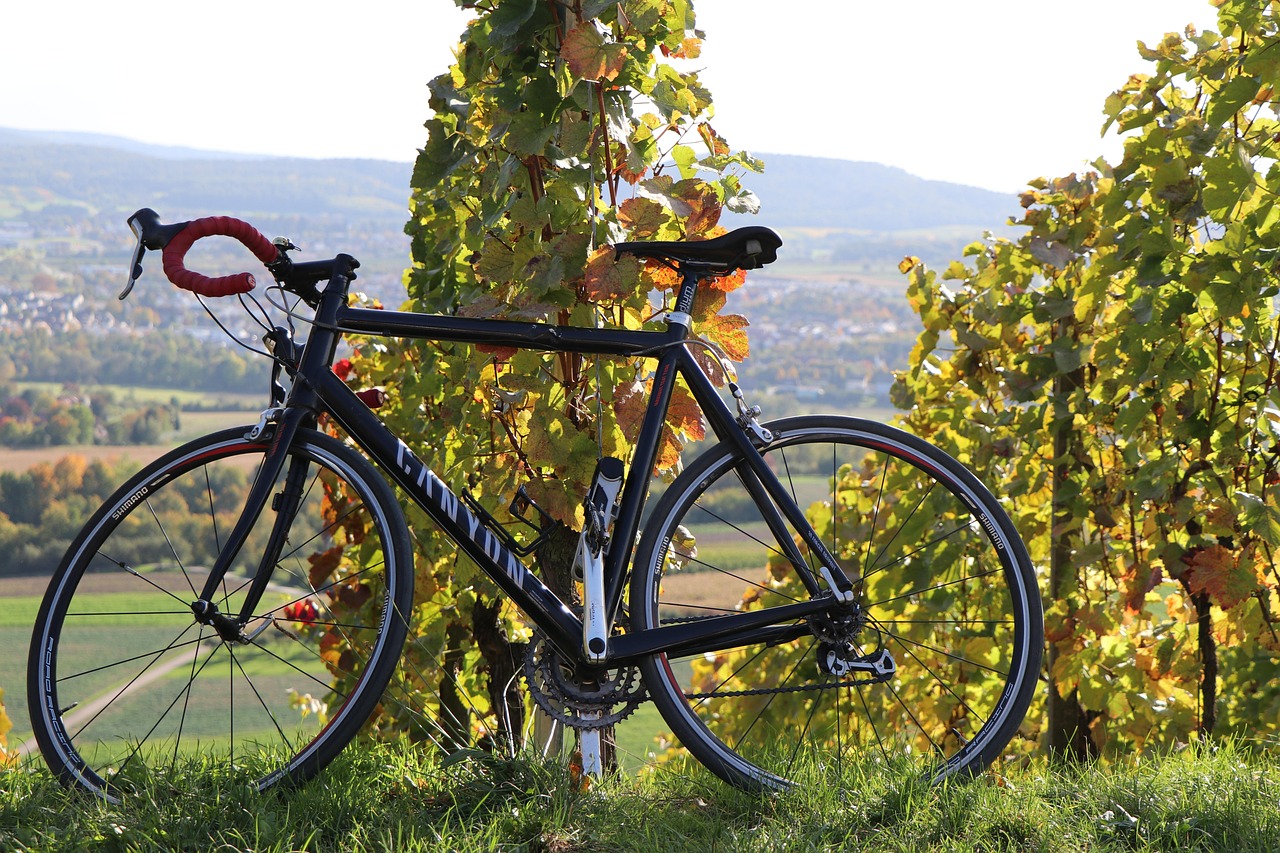 Canyon Fahrrad im Weinberg bei Koblenz in Rheinland-Pfalz